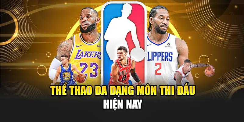 the-thao-da-dang-mon-thi-dau-hien-nay